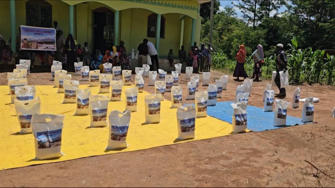 Community Meal Distribution